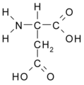 Aspartic Acid.png